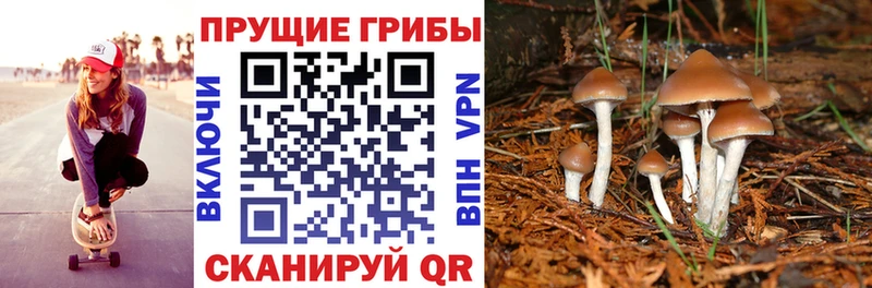 Галлюциногенные грибы прущие грибы  Купить закладки  Камешково 